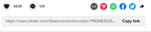 tiktok-video-link-box